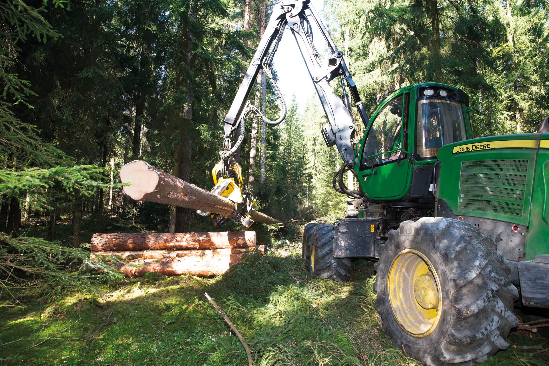 Waldwirtschaft Falkenstein Waldpflege Holzhandel